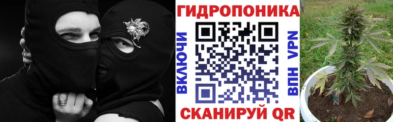 hydra как войти  Змеиногорск  Бошки марихуана гибрид  наркошоп 